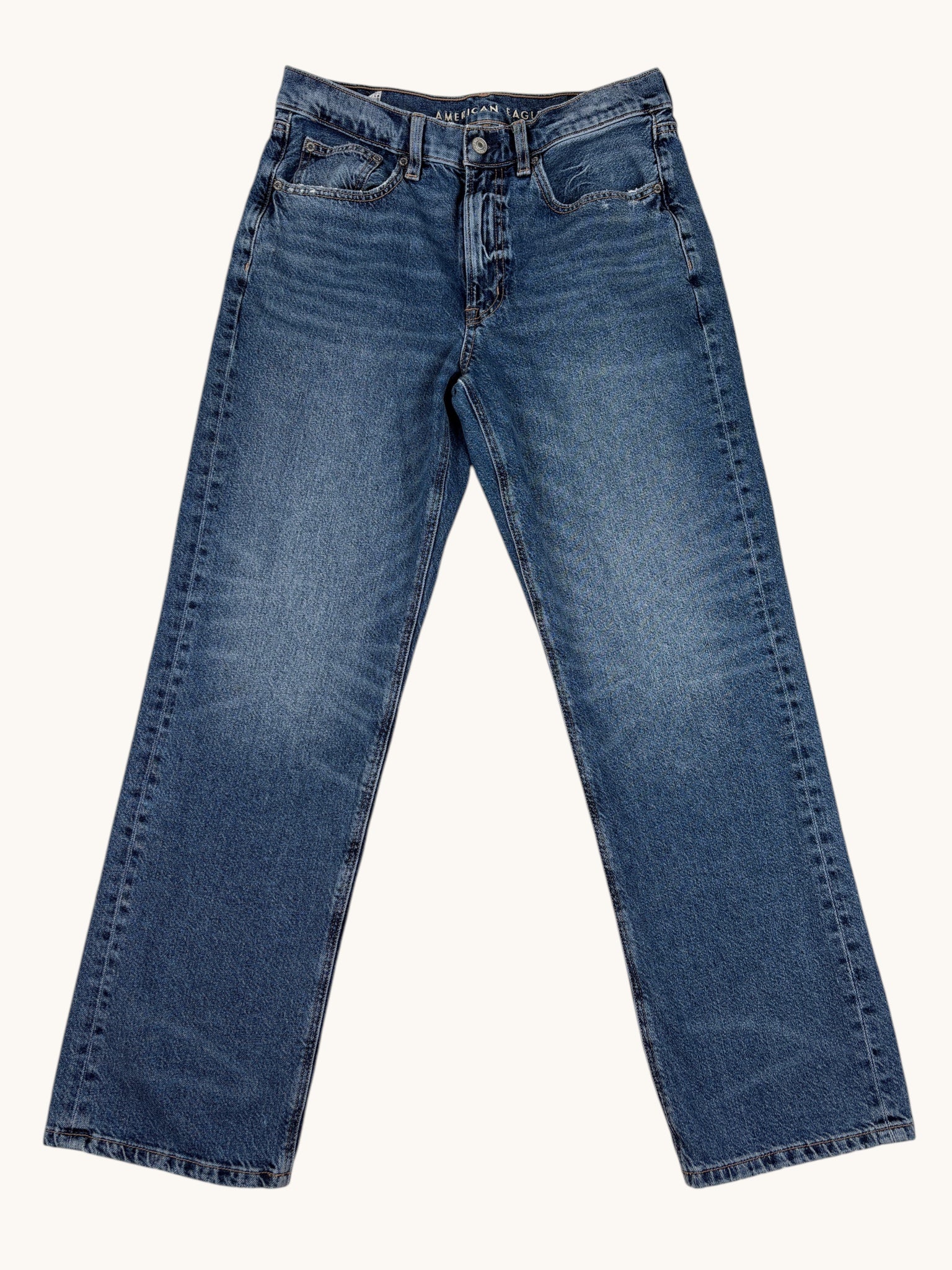 00s American Eagle Low Rise Baggy Jeans - 6S