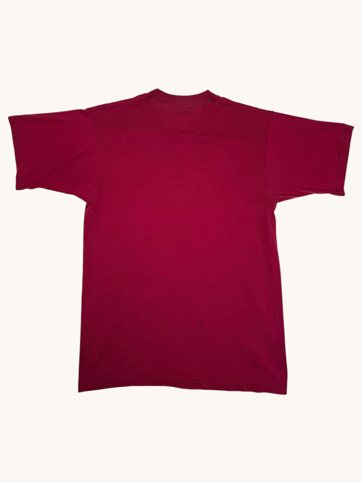 90s Fruit of the Loom North Carolina Tee - M